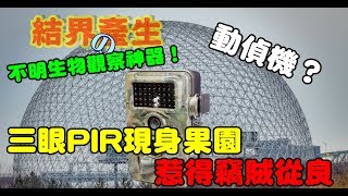 【GOMINI】十分鐘  瞭解不明生物觀察神器 叢林機？動偵機 的作動原理 ，林場、果園、茶園有防盜神器。。