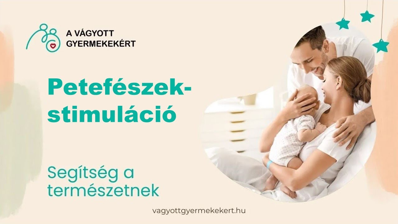 Petefészek-stimuláció | A Vágyott Gyermekekért | 11. rész