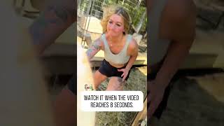 Farm Marriage Be Like…#funny#farm#farmlife#marriage#funnyfarm#ytshorts#viralshorts