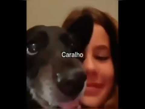Compilado de shitpost #19