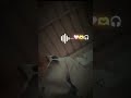 Dil chahte ho ya jan chahte ho #viral #love #bollywoodsongs #bollywood #song