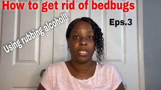 proof! HOW TO GET RID OF BEDBUGS WITH RUBBING ALCOHOL in 2021!
