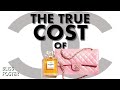 What Are You ACTUALLY Paying for When You Buy Chanel?