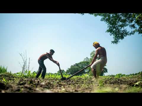 Come To Life Calm Cinematic Dreamy Music Free For Use