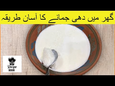 How To Make Yogurt दह گھر میں دہی بنانے کا طریقہ By Recipe Hacks 