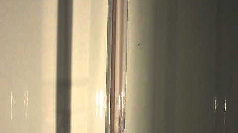 2011-02-14 Group 1: Transitional Flow, Reynolds Experiment