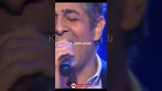 Murat Göğebakan - Yaralı #Shorts #Shortvideoviral