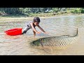 Amazing Hand Fishing | Traditional Boy Big Fishing by Hand #fishing