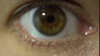 human eye close up looking to camera macro view detailed anatomy