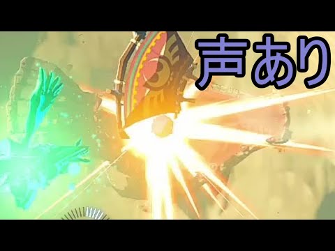 【ブレワイ】依頼を受けて、モルドラジークにリモコン爆弾以外の爆発物を入れてみた【ドリカラ】【ゼルダの伝説ブレスオブザワイルド,BotW,ゼル伝,ボイスピ実況】