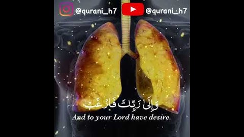 الم نشرح لك صدرك | سورة الشرح | مولان كورتش
