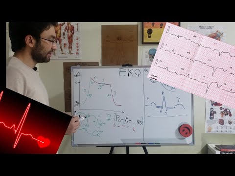 Video: Fəaliyyət potensialı necə yaranır?