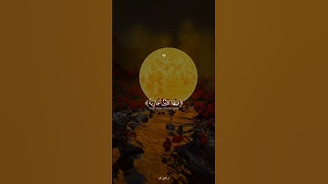 اكتب شيء تؤجر عليه ❤😴 || القارئ عبدالرحمن مسعد ❤️🎧