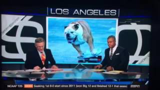 Sports center Tillman bulldog tribute espn by ron davis 1,031 views 8 years ago 59 seconds