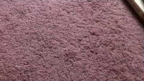 My VHS Collection Part 5