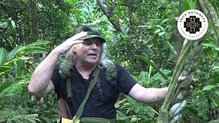Petr Chobot - Ayahuasca a biospiritualita - Peru (2018)
