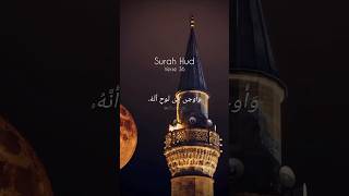 Surah Hud Verse 36 allahswt quranrecitationsurahhud hud hudayat36 n7i n7ipage