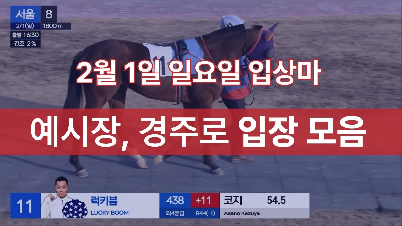 [2월 1일 일요일 입상마] 예시장, 경주로 입장 모음