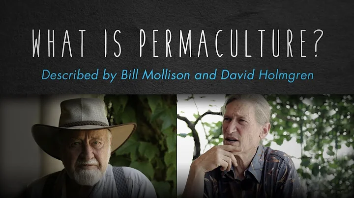 What is Permaculture? By Bill Mollison, David Holm...