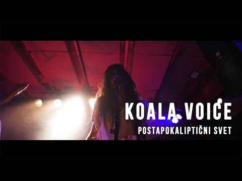 Koala Voice │