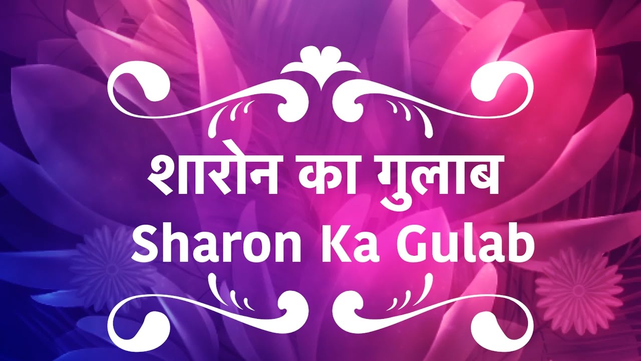 Sharon Ka Gulab     