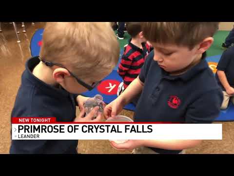 Primrose School of Crystal Falls on CBS Austin | February 5th, 2020