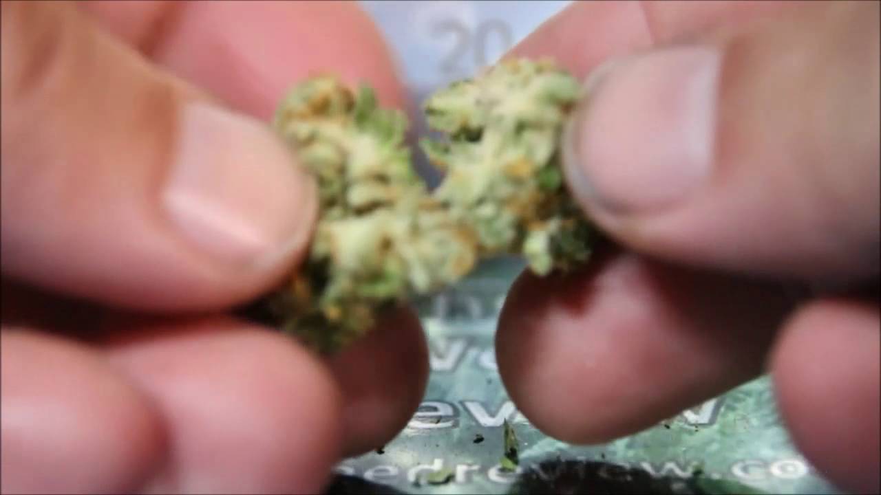 Pure Funk, UK Cheese Legal Weed Review 420 Strain Review