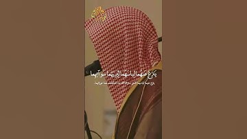 🌹 يابني آدم لا يفتننكم الشيطان 🌹 تلاوة هادئة بصوت عذب خاشع يهز القلوب 🌹 بصوت الشيخ ناصر القطامي 🌹