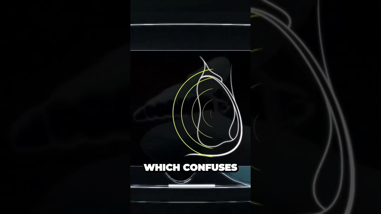 Bats vs Tiger Moths Unveiling the Secret Defense Mechanism 