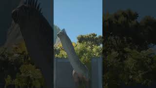 The Giant of the Skies: Barosaurus Showcase 🦕 #JWE3