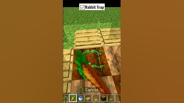 Rabbit Trap at Different Times (World’s Smallest Violin) #shorts