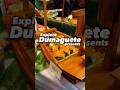50% OFF on Japanese Food This October 17 in Dumaguete City!