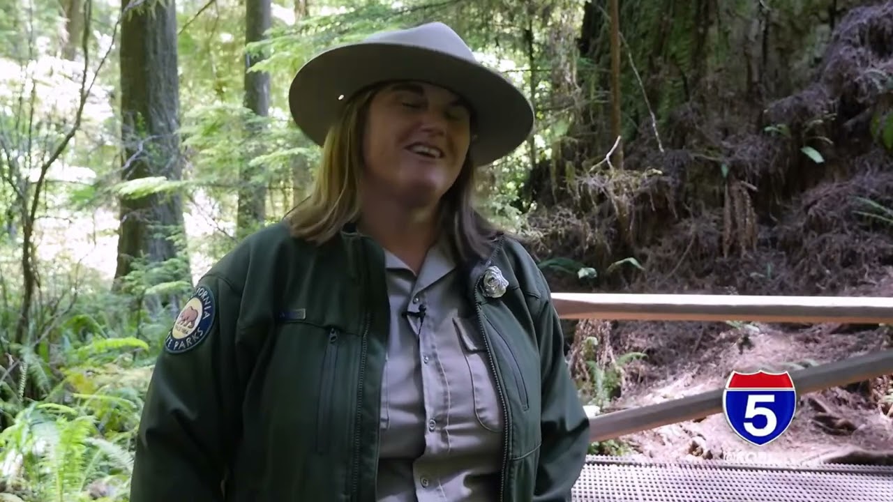 Tank of Gas Getaway: Grove of Titans