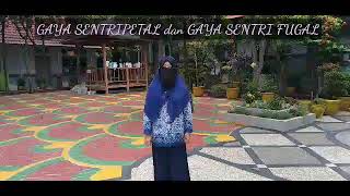 Gaya Sentripetal dan Gaya Sentrifugal