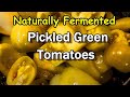 Fermented (Not Fried!) Pickled Green Tomatoes: The Answer to Green Tomatoes in the Garden