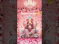 ganpati bappa morya#jai ho