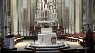Friday of the Eighth Week in Ordinary Time Mass (Presider: Fr. Walsh, SJ) 05/29/2026