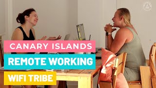 Canary Islands Remote Working - WiFi Tribe - CoWorking Gran Canaria, the Canaries screenshot 2