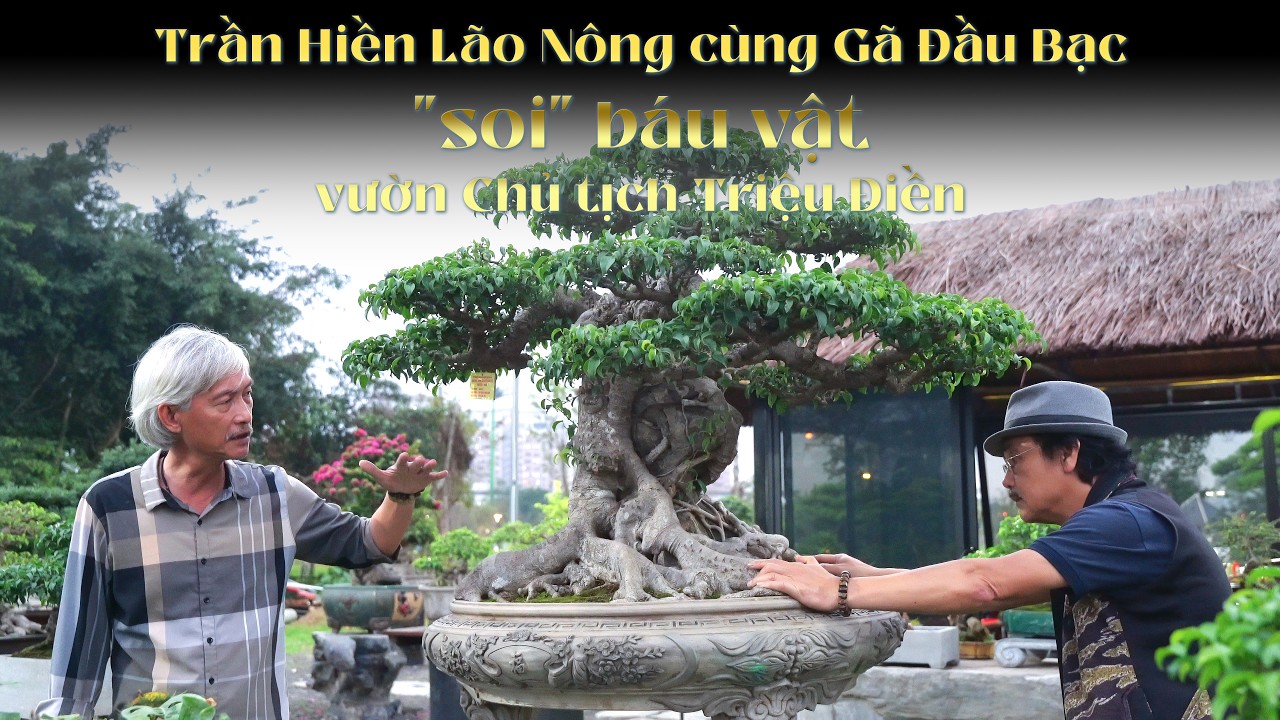 Trần Hiền Lão Nông cùng Gã Đầu Bạc 