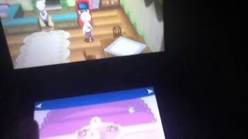 SHINY DEDENNE 7 ENCOUNTERS