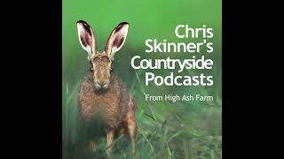Episode 2.40 - Meandering Meadows and Goldcrest Glimpses