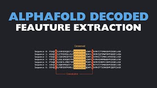 AlphaFold Decoded: Feature Extraction (Lesson 4)