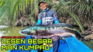 Casting snakehead sg kedah - lesen toman terbesar