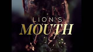 Lions Mouth Bright November