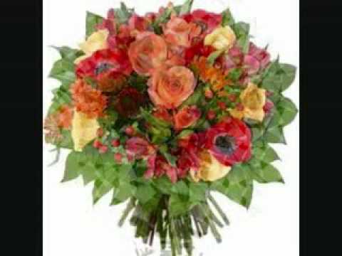 O Saptamana Cat Mai Placuta Si Senina Flv Youtube