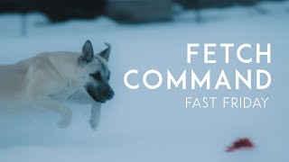 Train Your Dog to Fetch and Fast!
