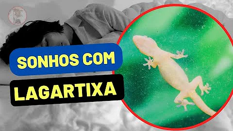 O que faz com que a lagartixa ande pela parede sem cair?