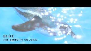 The Durutti Column - Blue | MUSIC TO OBSERVE
