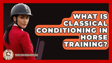 What Is Classical Conditioning In Horse Training? - The Horses Stable