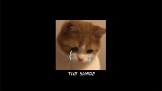 Rex Orange County - THE SHADE (Slowed and Reverb)